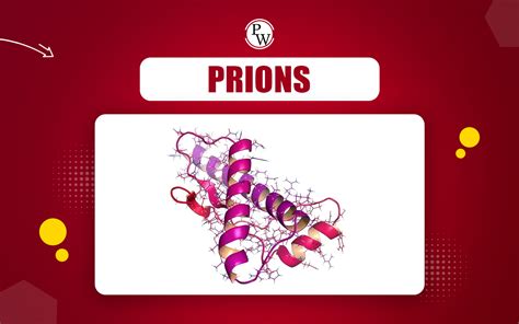 how tip destroy prions