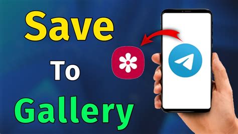 How To Save Videos On Telegram On Pc Download Video From Telegram - Download Video From Telegram
