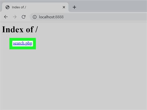 how to see php code in browser