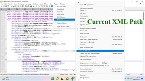 how to see xml in notepad++