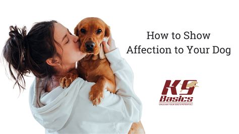 how to show affection to dogs