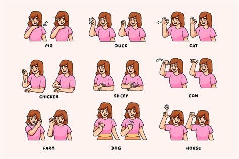 how to sign animals with terry the monkey b s l e