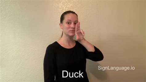 how to sign duck in asl