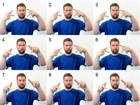 how to sign party in asl