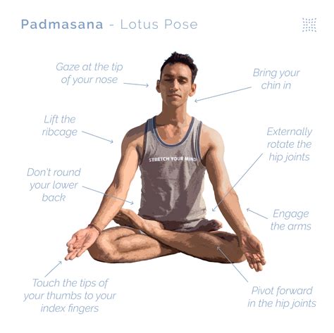 how to sit in padmasana for beginners