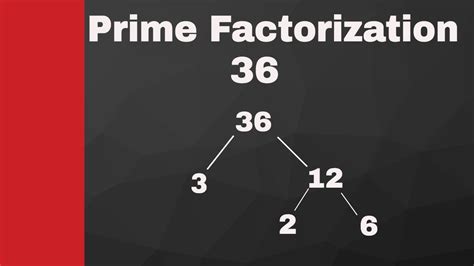 How To Solve Prime Factorization With Exponents Prime Factorization With Exponents Worksheet - Prime Factorization With Exponents Worksheet