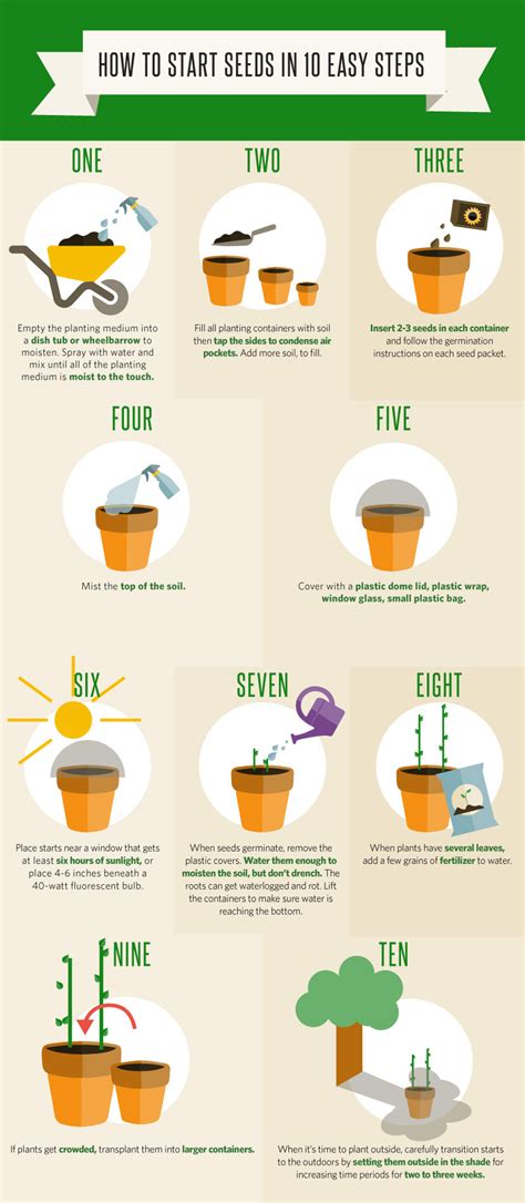 how to start a seed garden