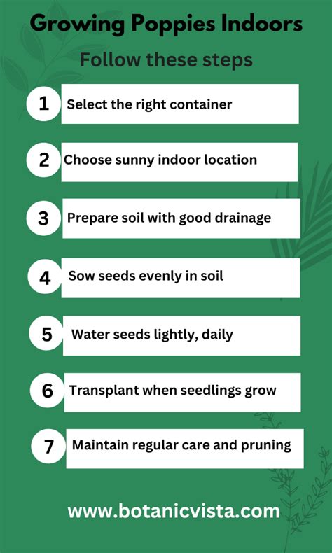 how to start poppies indoors