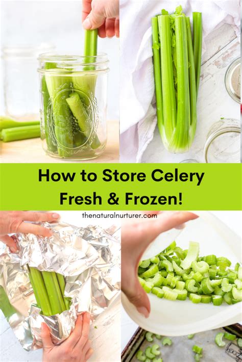 how to store celery in water