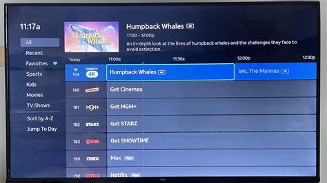 how to stream the guide to live streaming your co