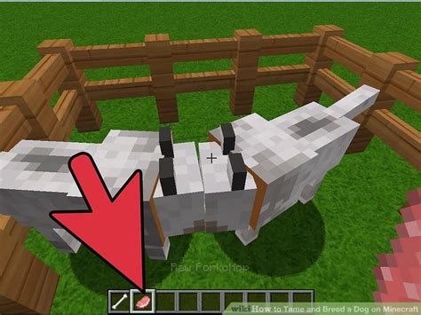 how to tame a dog in minecraft