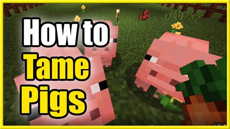 how to tame a pig in minecraft