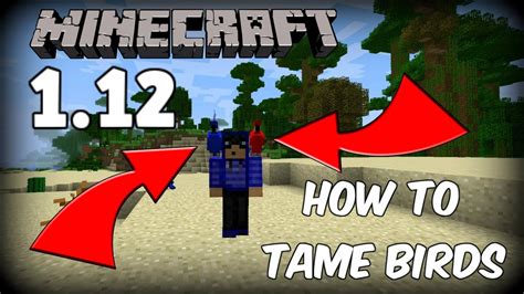 how to tame birds in minecraft