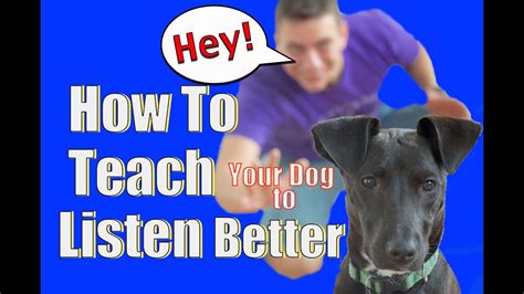 how to teach dog to listen