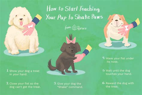 how to teach dog to shake paws