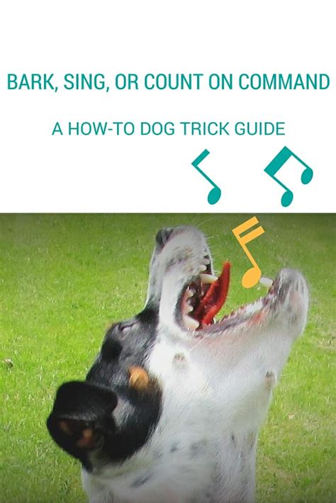 how to teach dog to speak bark