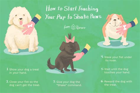 how to teach my dog how to shake