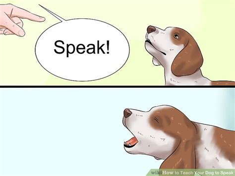 how to teach my dog to speak english