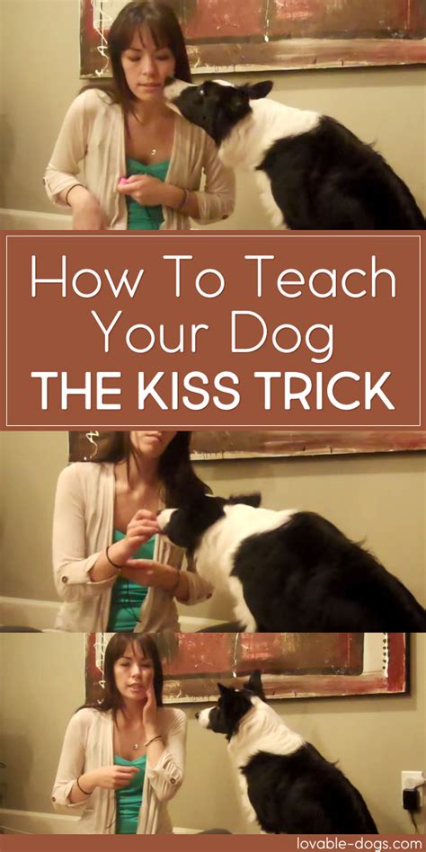 how to teach your dog kiss