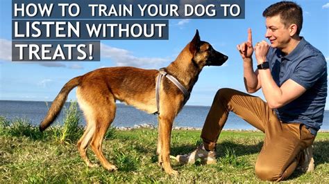 how to teach your dog to listen