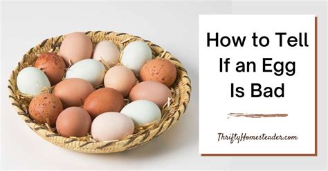 how to tell an egg is rotten