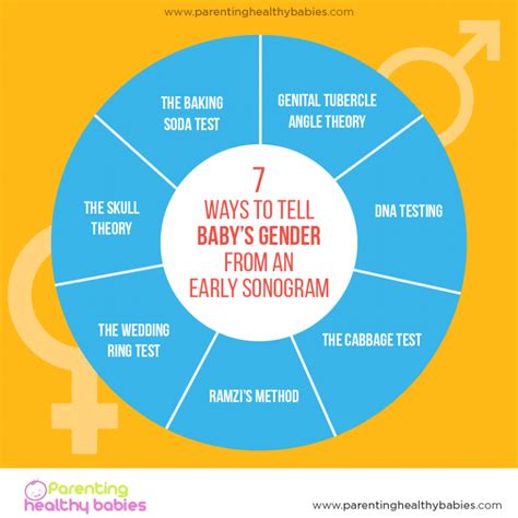 how to tell baby kickstarter gender