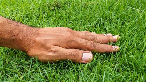 How To Touch Grass