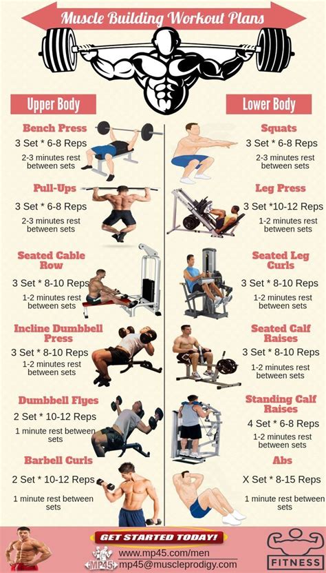 how to train beginners in gym