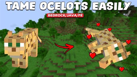 how to train ocelots in minecraft