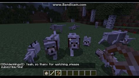 how to train your wolf in minecraft
