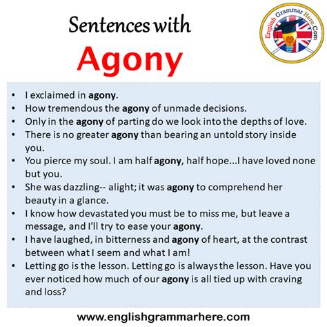 how to use agony in a sentence