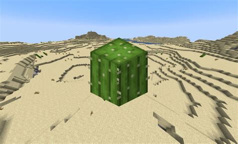 how to use cactus in minecraft