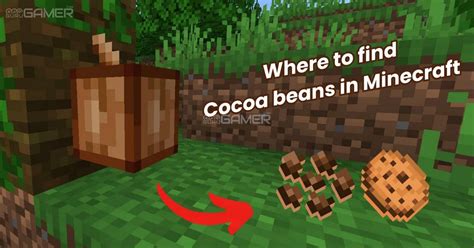 how to use cocoa beans in minecraft