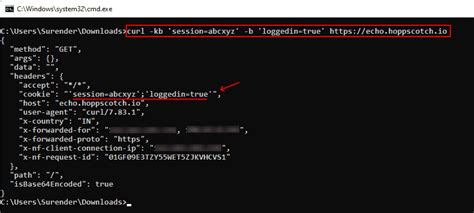 how to use curl in windows