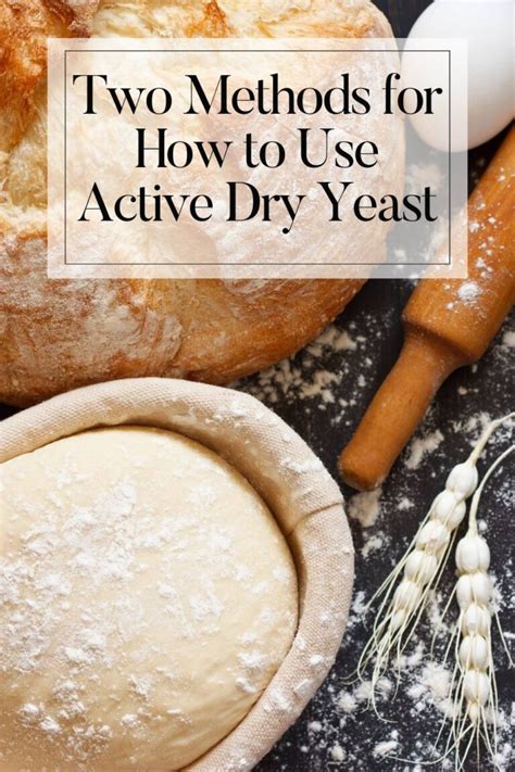 how to use dry yeast in bread