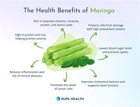 How To Use Moringa For Fertility