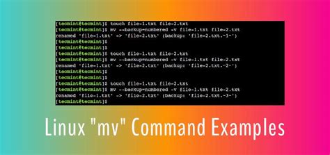 how to use mv command