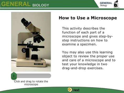 How To Use The Microscope The Biology Corner The Microscope Worksheet - The Microscope Worksheet