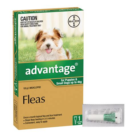 how to instigate advantage on dogs