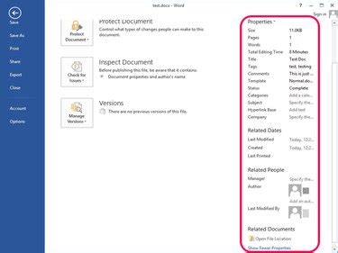 how to view metadata in word