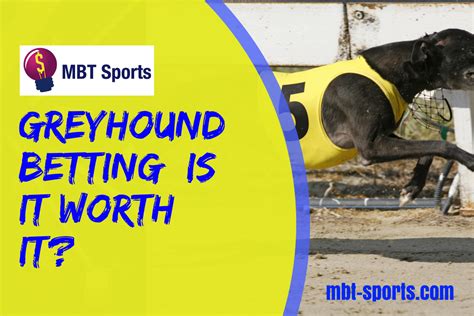 how to win betting on greyhounds