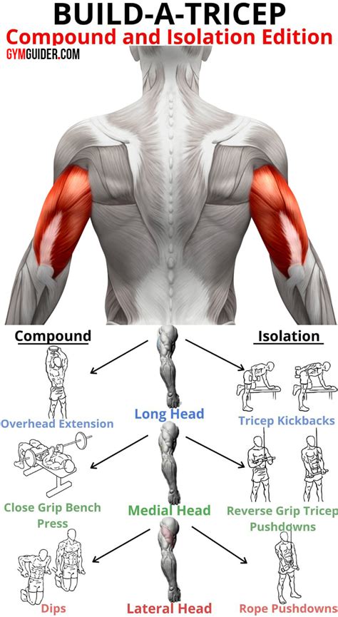 how to work out inner triceps