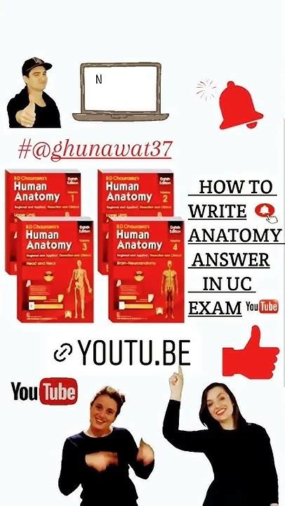 How To Write Anatomy Answer