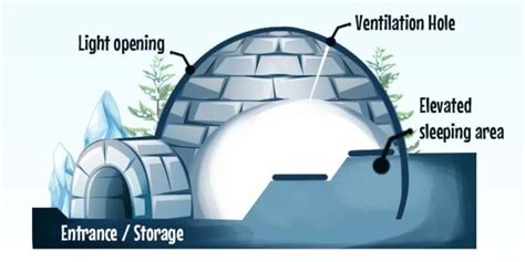 How Warm Can An Igloo Get Inside