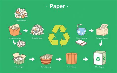 Full Download How Is Paper Recycled 