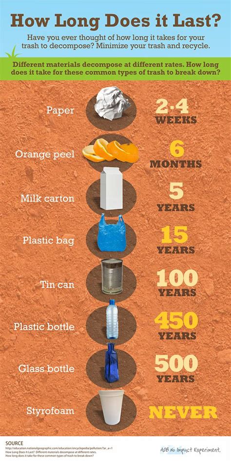 Image related to how-long-paper-decompose