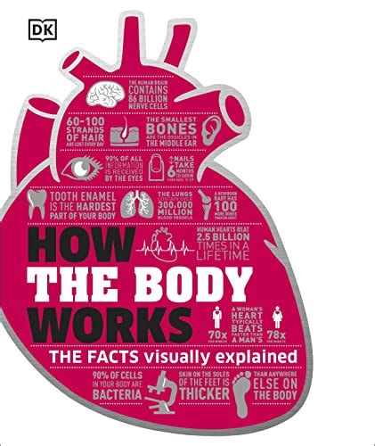 Read Online How The Body Works The Facts Simply Explained Dk Knowledge 