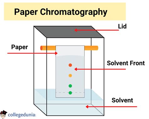 Download How To Do Paper Chromatography 