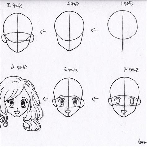 Download How To Draw Manga Simple Drawing Lessons Every Beginner Requires To Turn Pro 