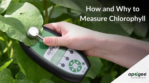 Read How To Measure Chlorophyll A Cwc 